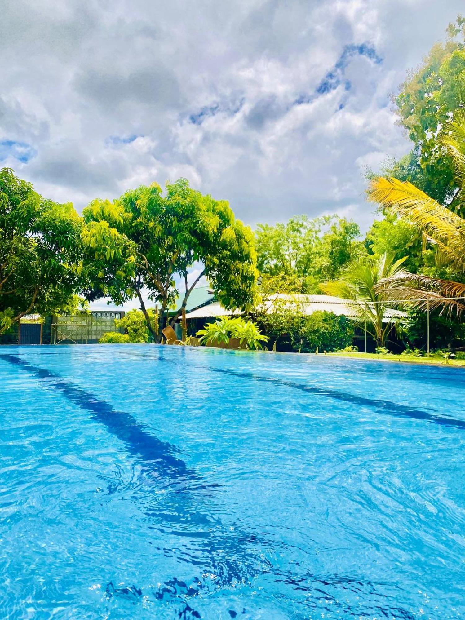 Organic Garden Resort 锡吉里亚 外观 照片
